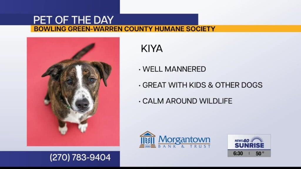 Pet Of The Day 5 14 2026