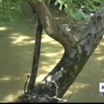 Several Roads Remain Closed Due To Flooding