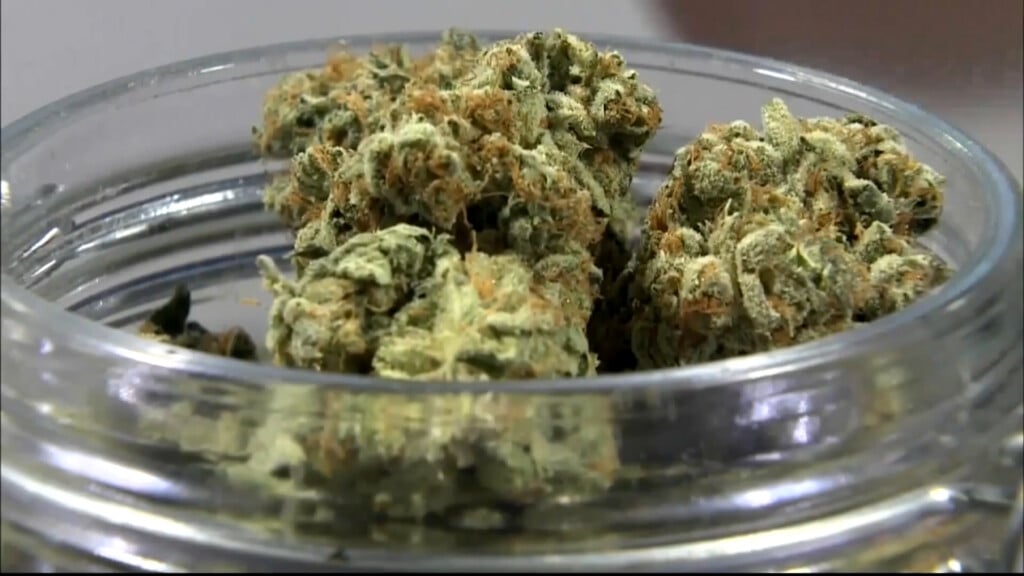 Coming Up Marijuana Vo.mp4.00 02 09 33.still001