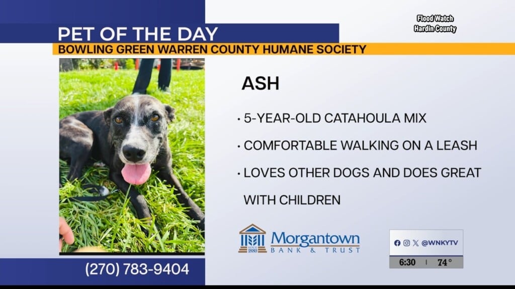 Pet Of The Day 6 9 2026