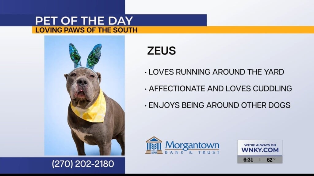 Potd Zeus 06.05.26