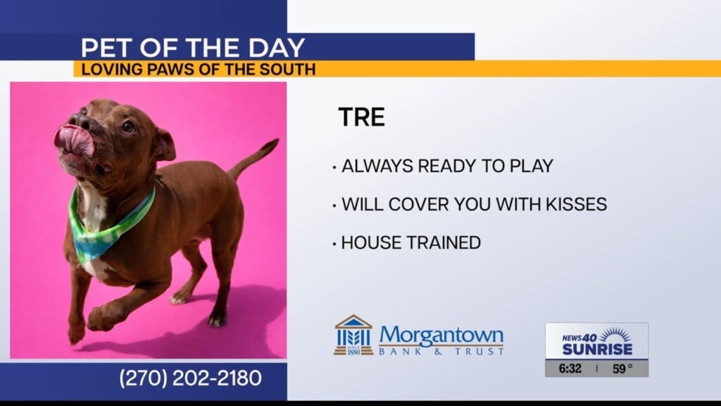 Pet Of The Day, Tre, 62426