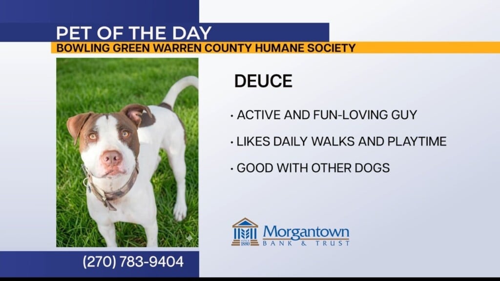 Pet Of The Day, Deuce, 070626