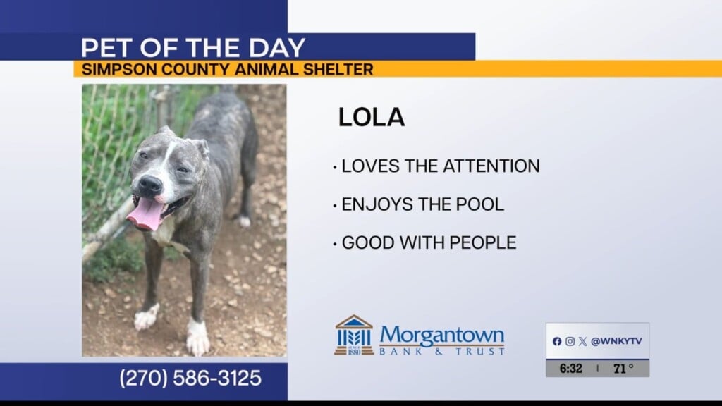 Potd Lola 07.08.26
