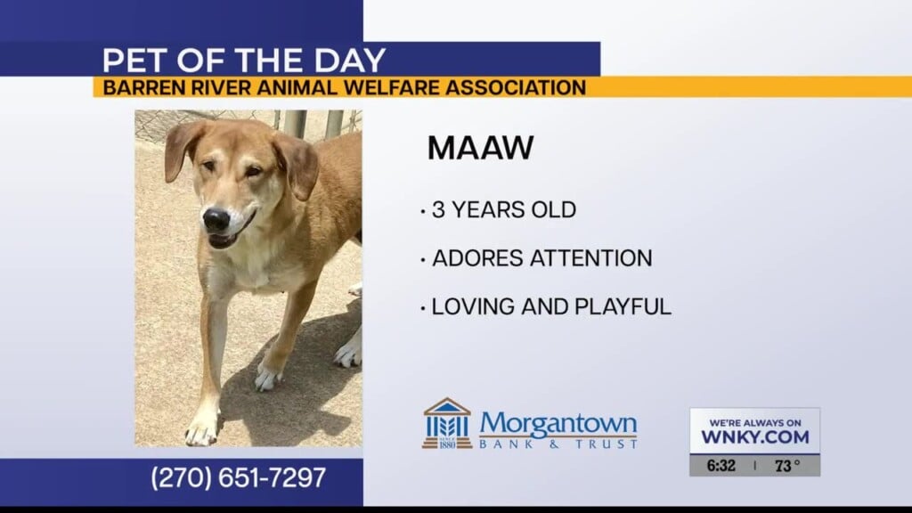 Pet Of The Day 7 16 2026