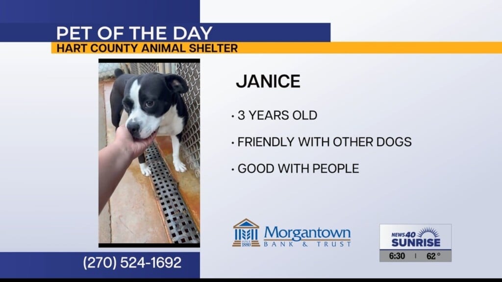 Pet Of The Day Janice 07.23.26