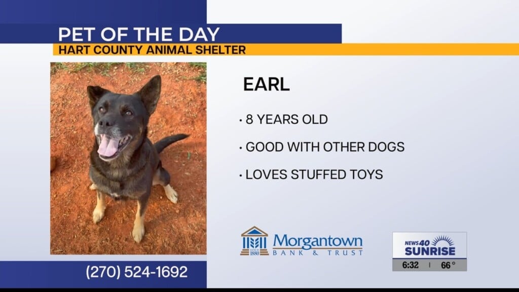 Pet Of The Day 073026