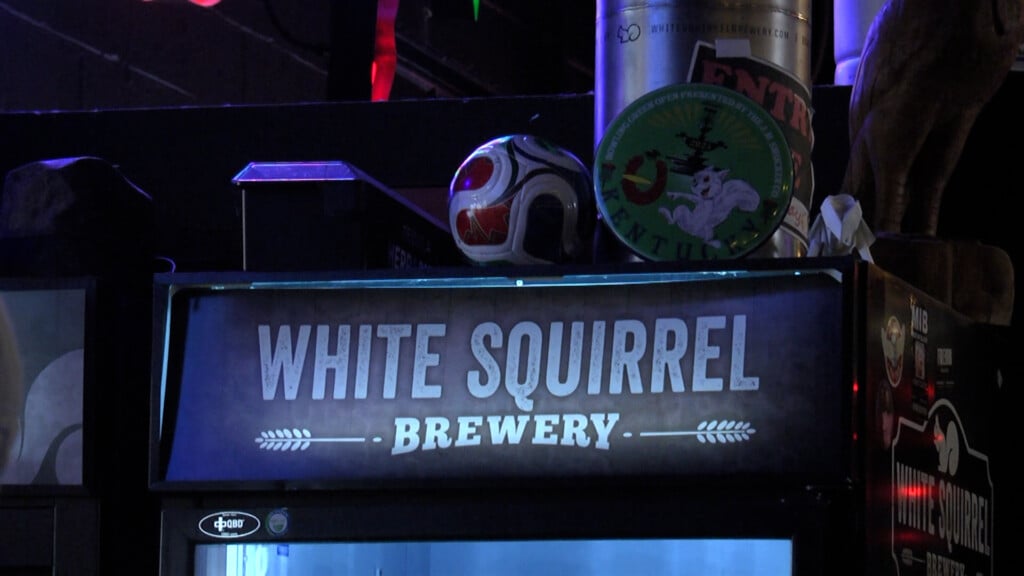 White Squirrel Wc Cover