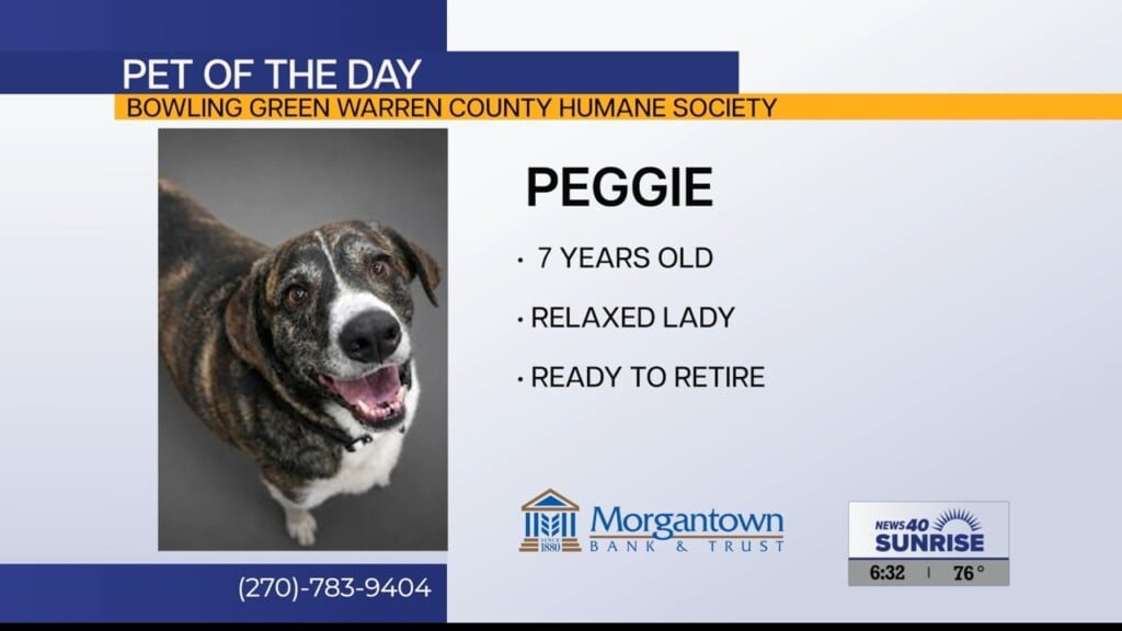 Pet Of The Day, Peggie, 071726
