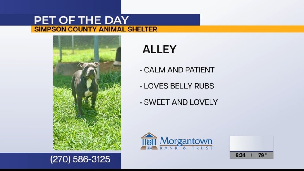 Pet Of The Day 072826