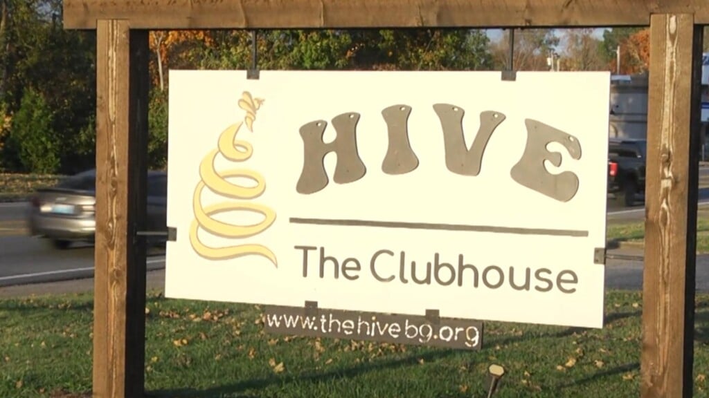 the hive