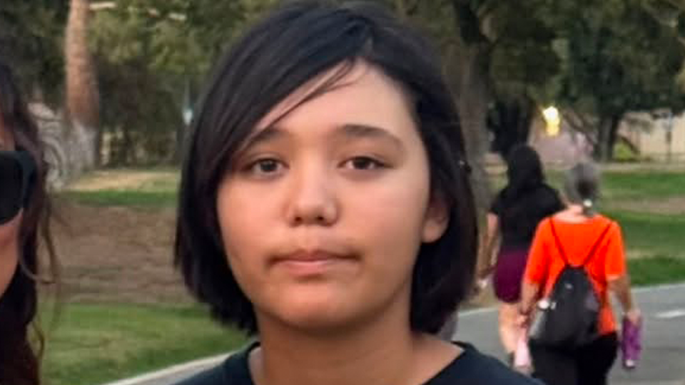 Missing California Teen Last Seen In Ohio County Police Say