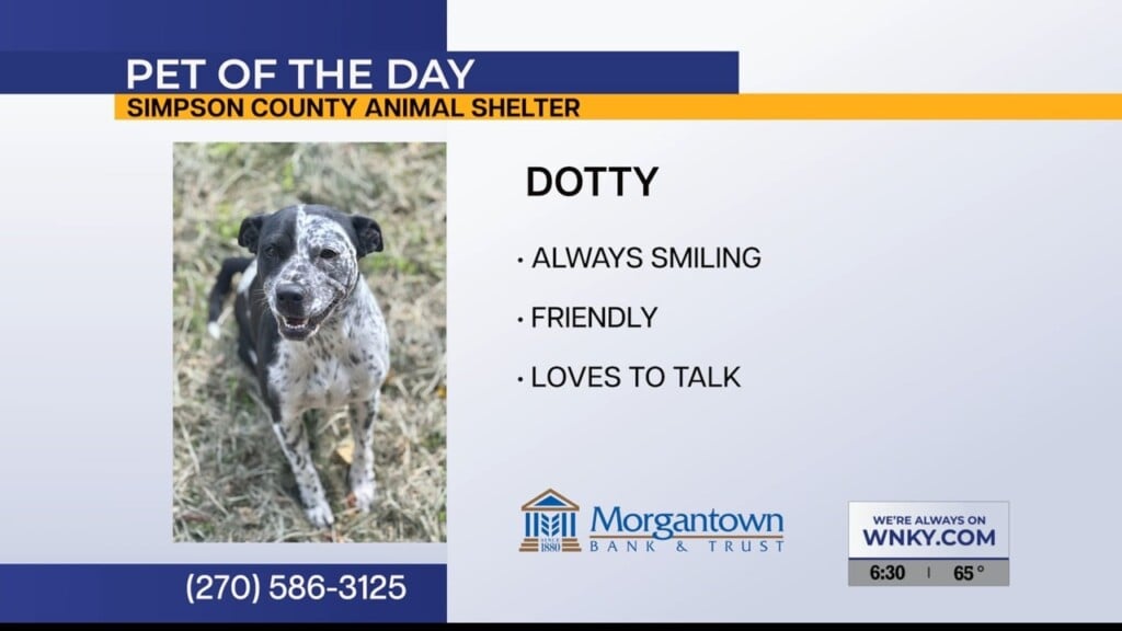 Pet Of The Day 082526