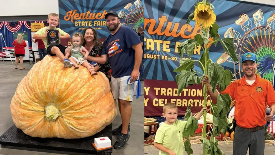 Grayson County Family State Faie