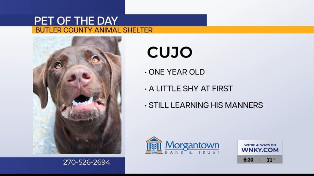 Pet Of The Day 080626