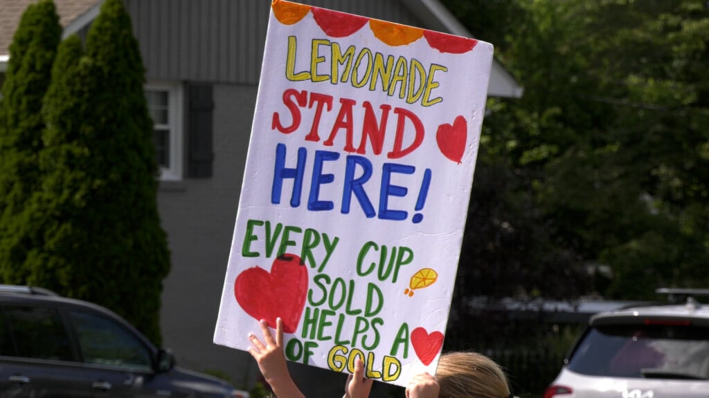 Troyce's Lemonade Stand