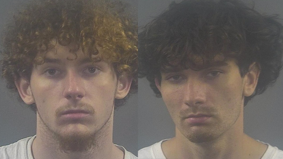 Bgpd Arrests