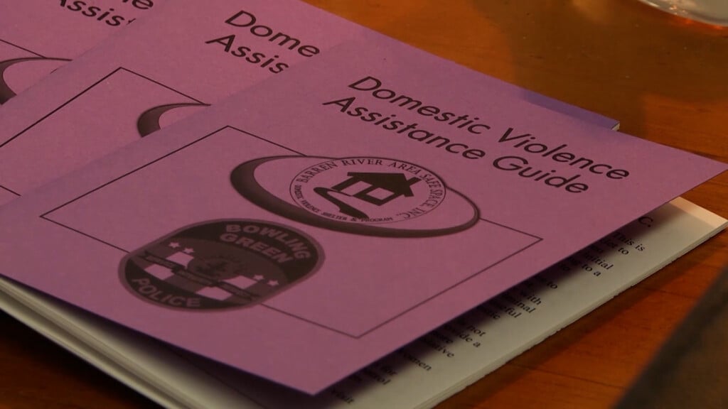 BRASS domestic violence assistance guide
