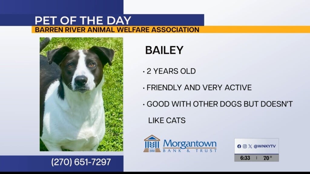 Pet Of The Day 082126