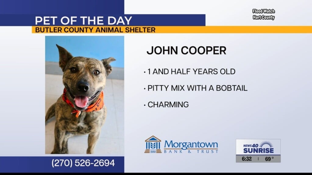 Pet Of The Day 082026