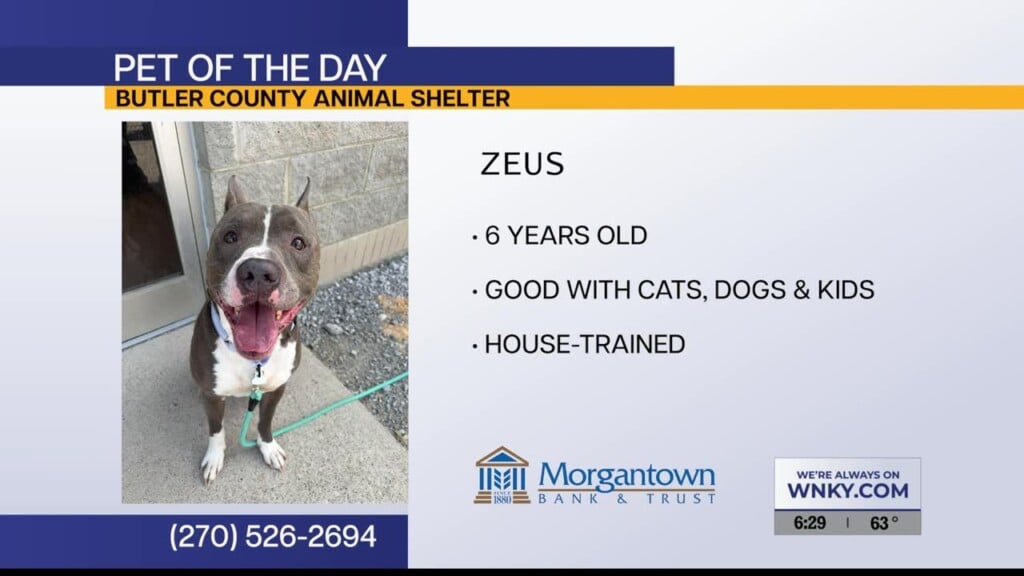 Pet Of The Day 092326