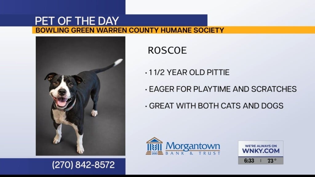 Pet Of The Day 91726