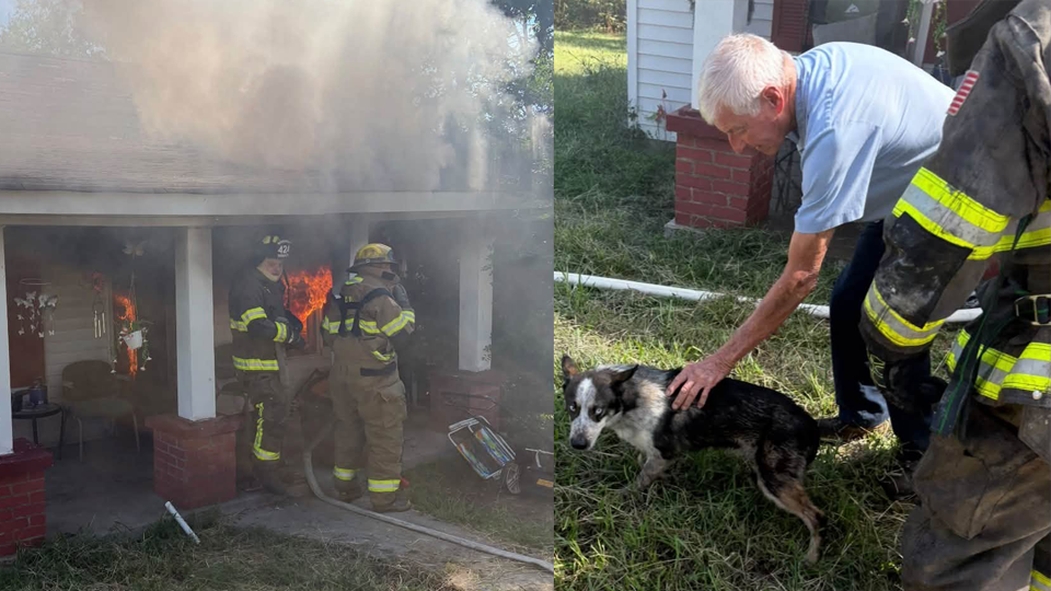Allen County Arson