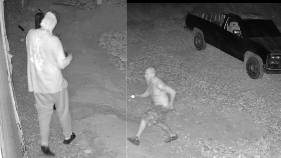 Wcso Investigation