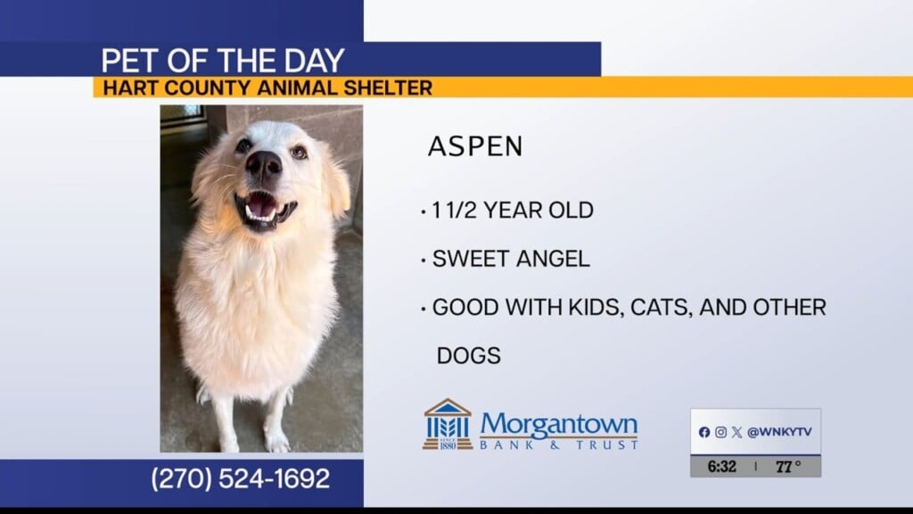 Pet Of The Day 91626