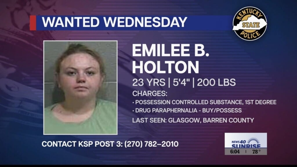 Wanted Wednesday