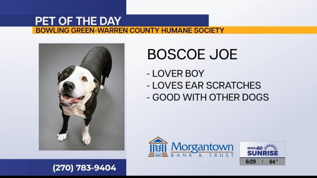 Pet Of The Day 9.24.26