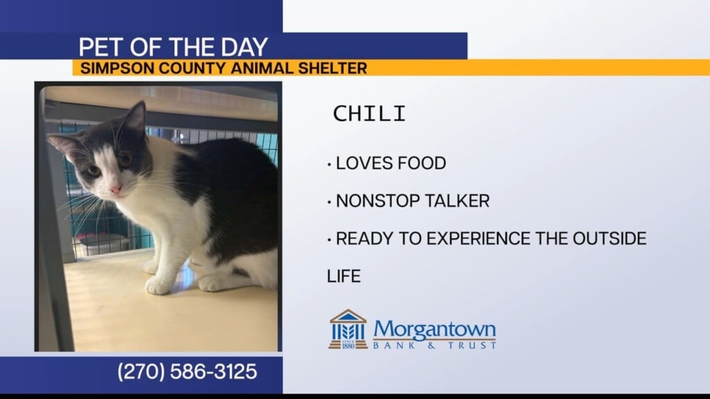 Pet Of The Day 091526