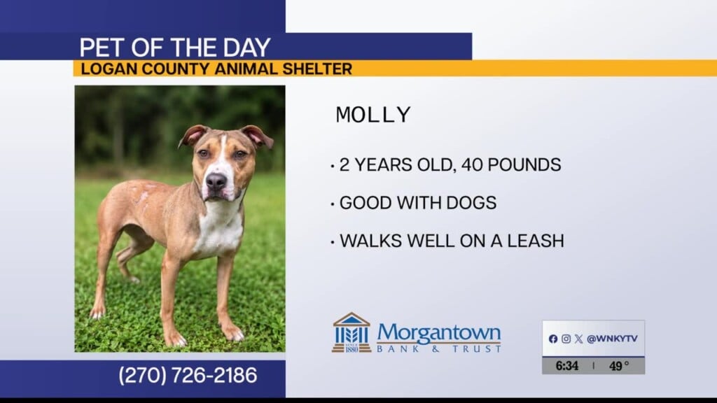 Pet Of The Day 9 28