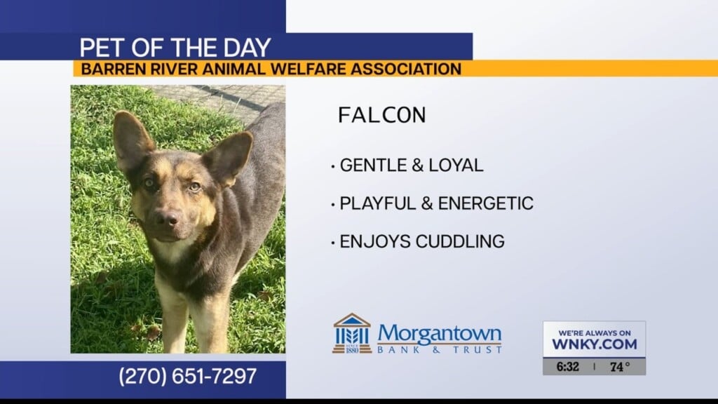 Pet Of The Day 090826