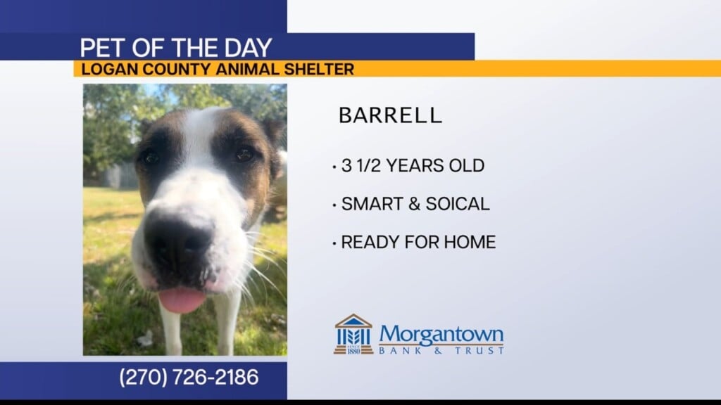 Pet Of The Day 091426
