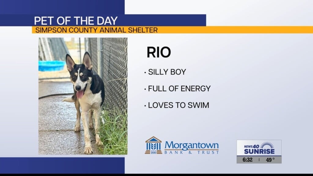 Pet Of The Day 9.29.26