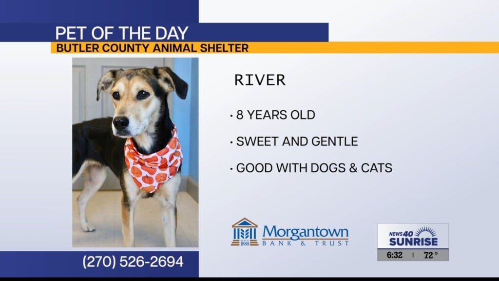 Pet Of The Day 090126
