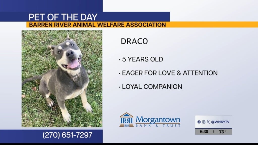 Pet Of The Day 090326