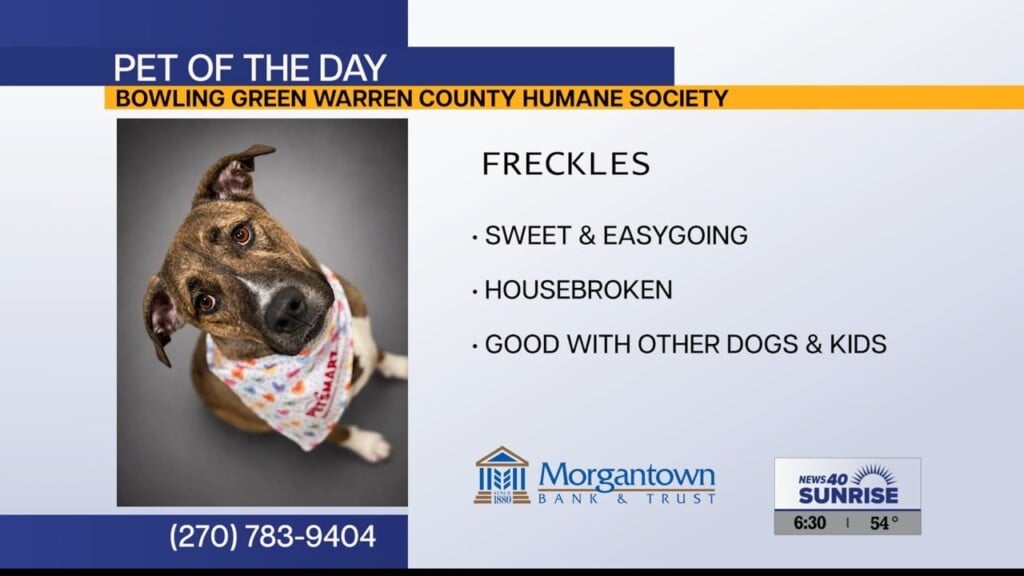 Pet Of The Day 100826