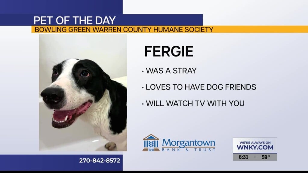 Pet Of The Day 100126