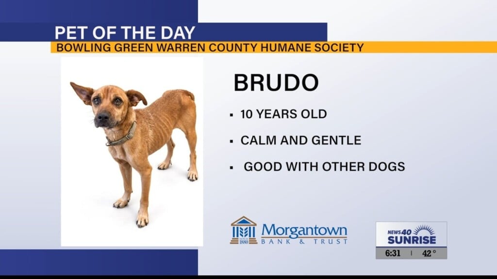 Potd Brudo 10.20.26