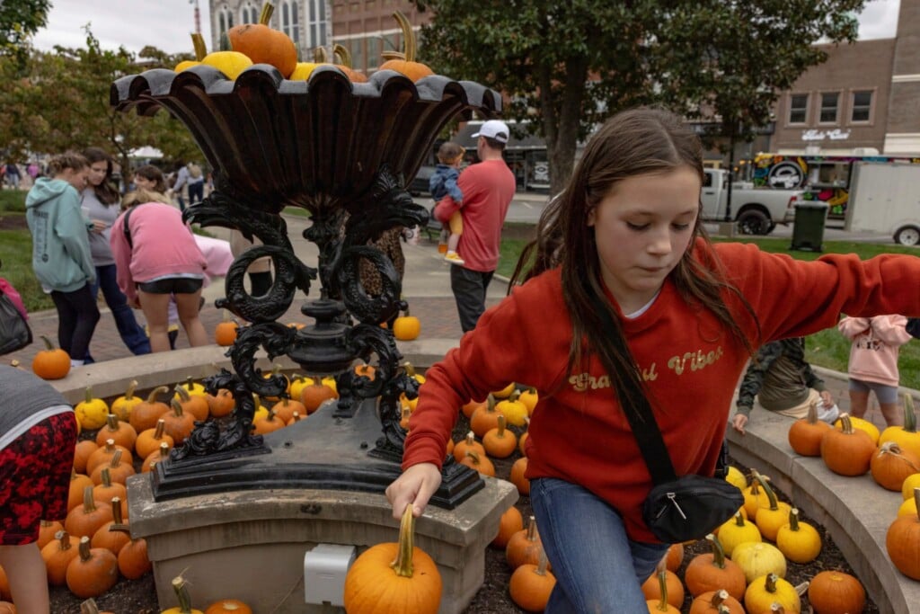 Harvest Fest City Of Bg