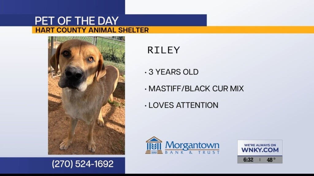 Pet Of The Day 10.6.26