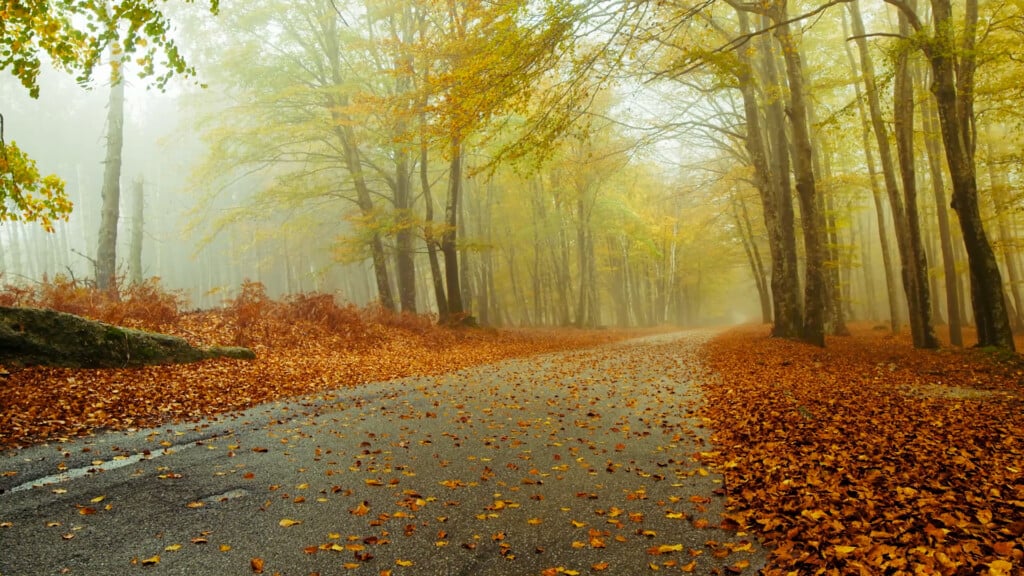 Fall Braking Copy