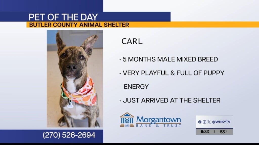 Carl Potd 10.13.26