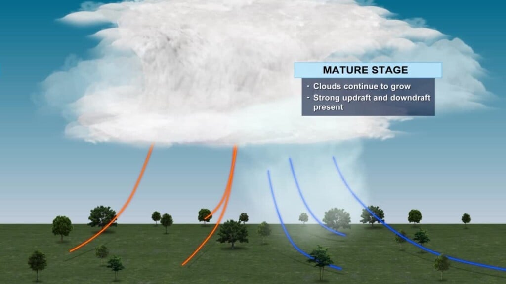 Thunderstorm Explainer.mp4