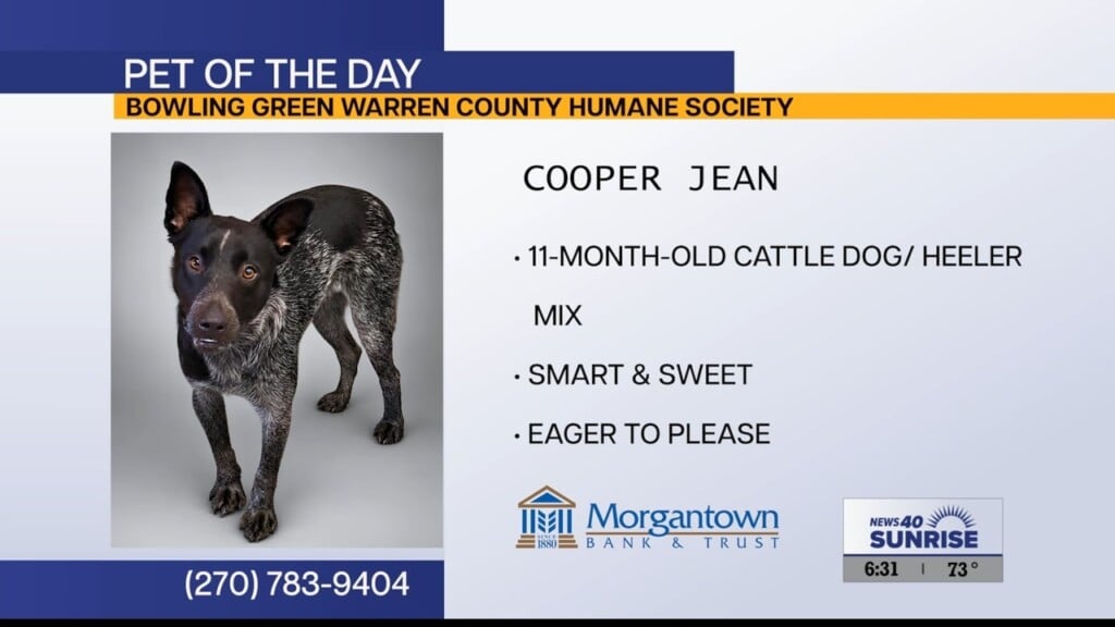 Pet Of The Day 101526