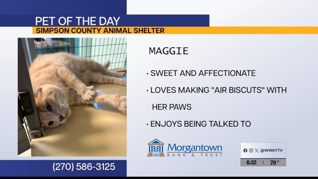 Pet Of The Day 10.14.26