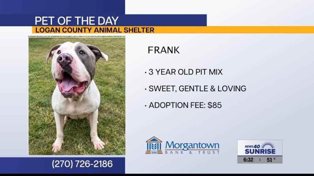 Pet Of The Day 100526