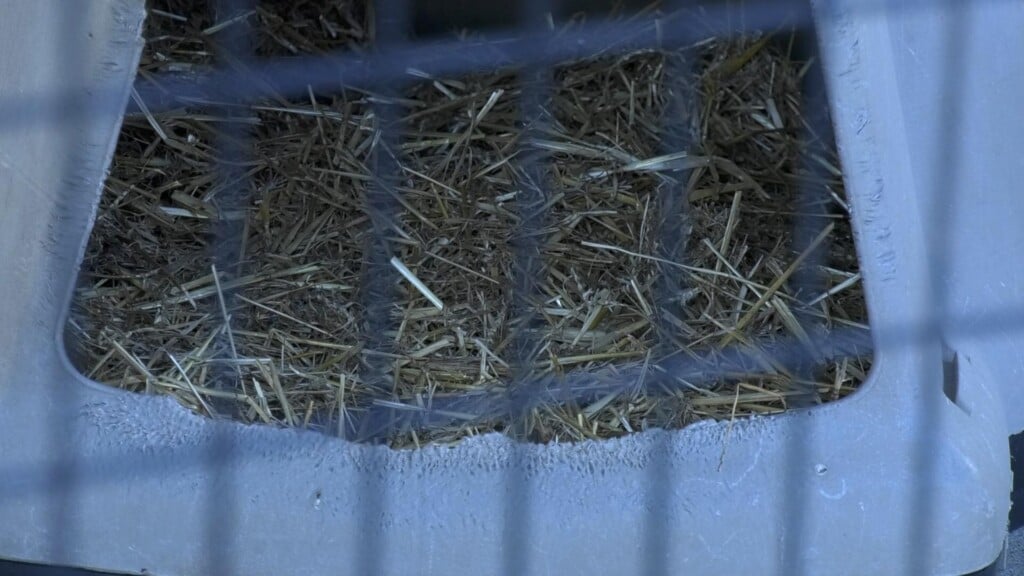 Photo Resize 24